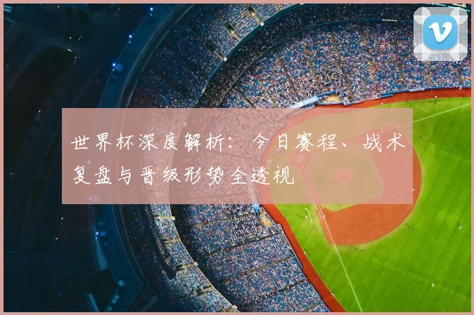 世界杯深度解析：今日赛程、战术复盘与晋级形势全透视