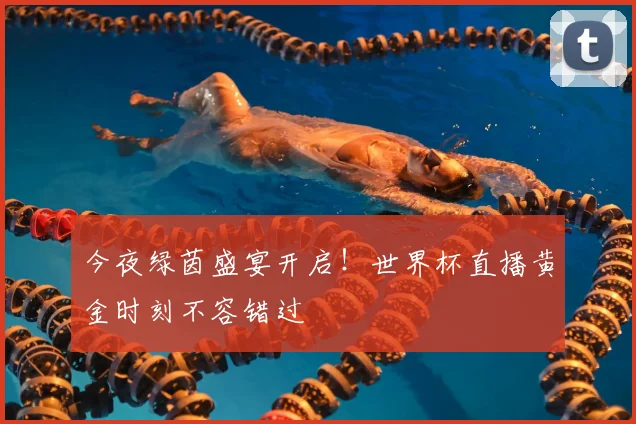 今夜绿茵盛宴开启!世界杯直播黄金时刻不容错过